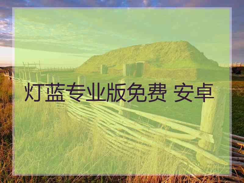 灯蓝专业版免费 安卓